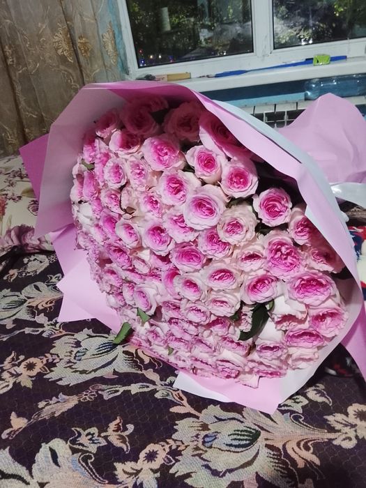 Цветы 101 роза свежие