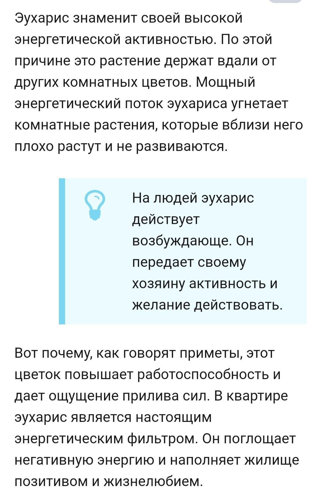 Эухарис-амазонская лилия: 5 000 тг. - Комнатные растения Кокшетау на Olx