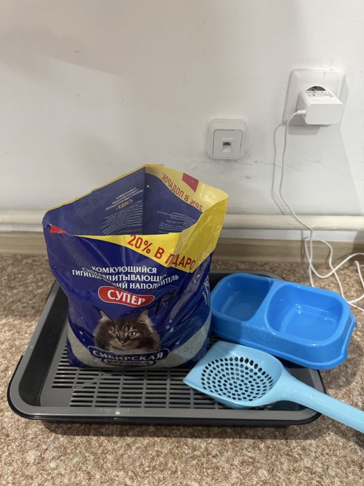 Продам для кошки