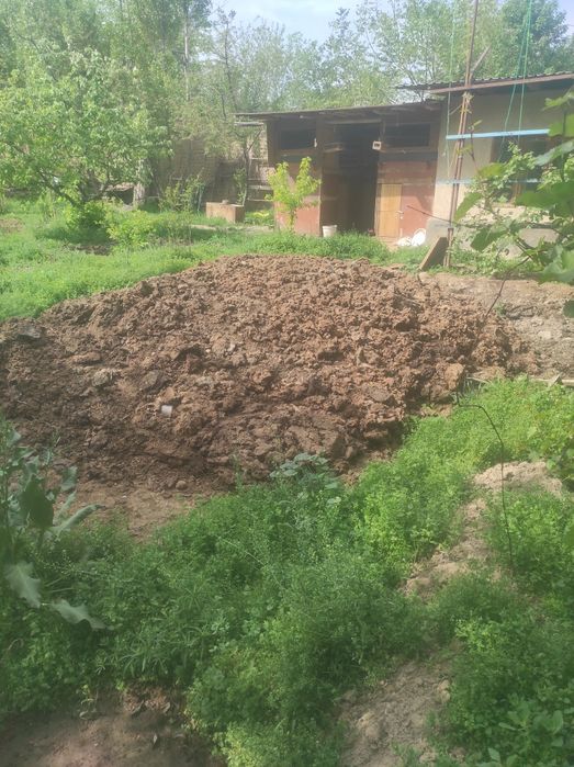 Mol goʻngi tekinga bervoriladi