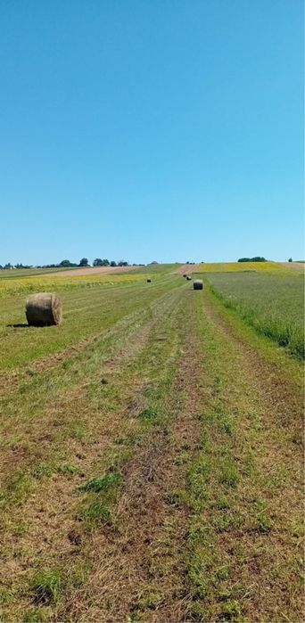 Vand baloti lucerna rotunzi