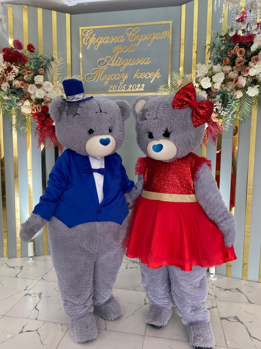 Мишка на прокат Алматы