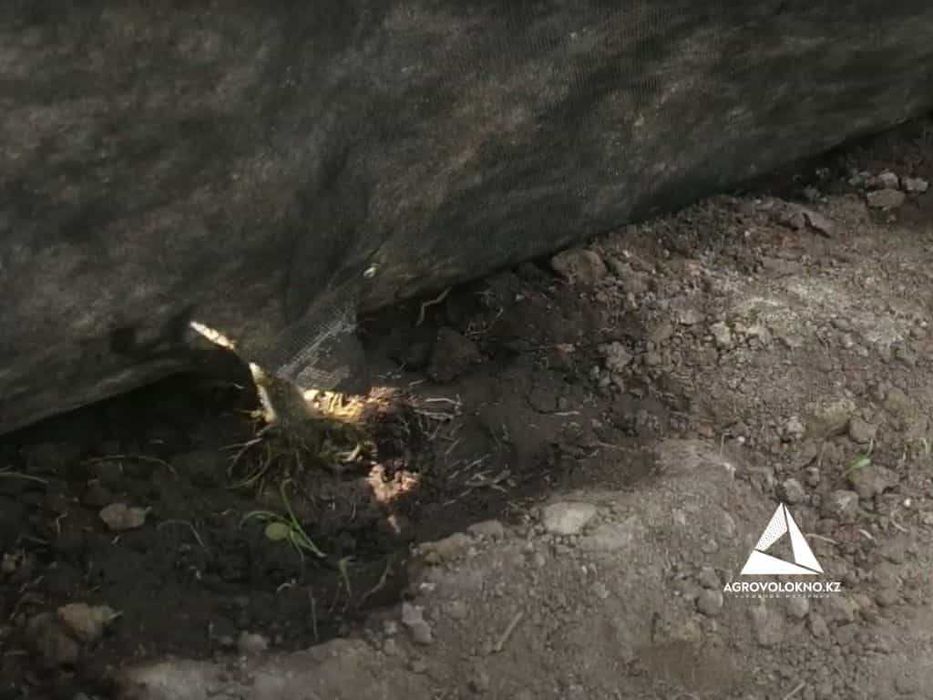 Черная агроткань 60ка Алматы