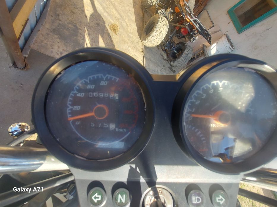 Продам любимчика в хорошие руки