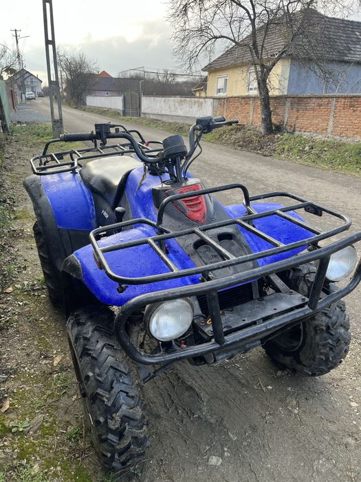 Linhai 300 2x4 cu acte