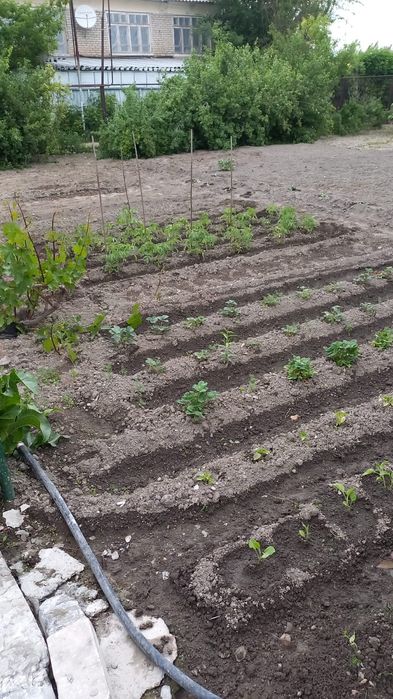 Продаётся дом в тихом городе каратау