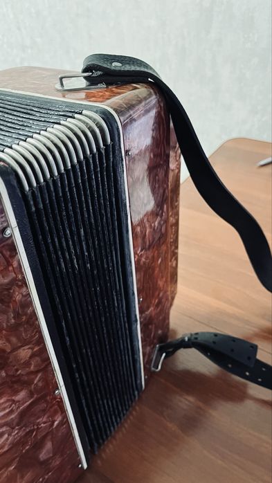 Гармошка с футляром.