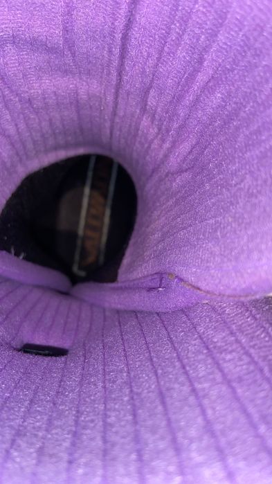 Ски обувки Salomon SX 82