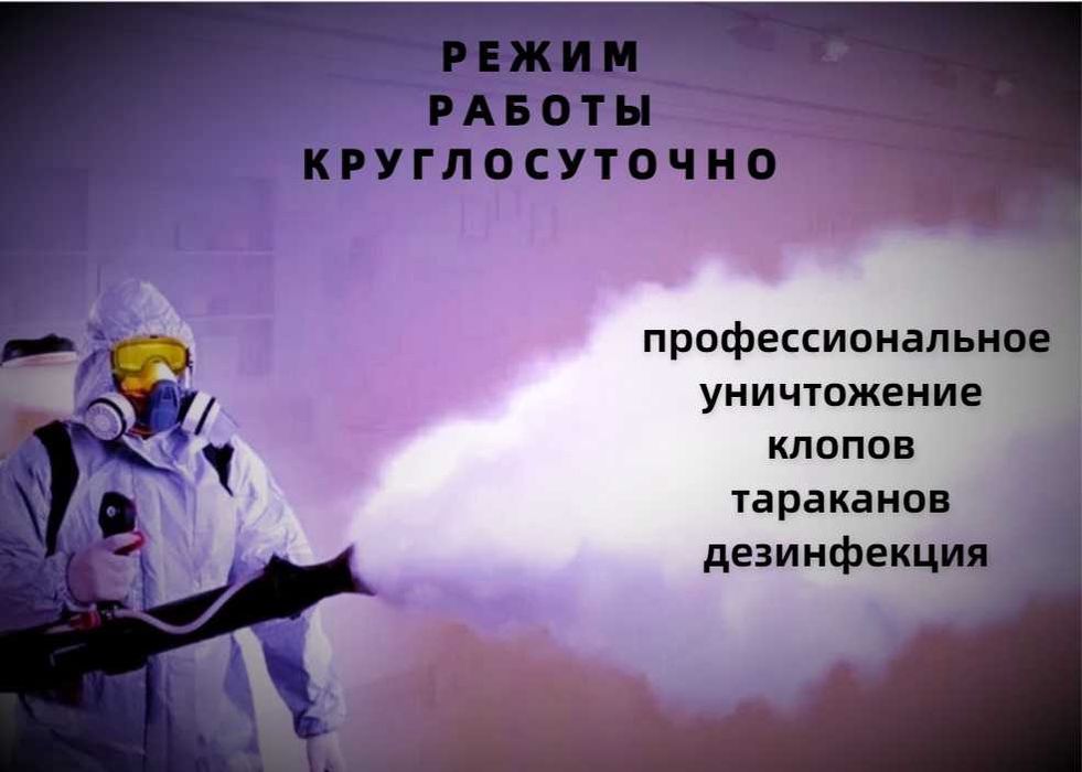 Дезинфекция / Клопы / Кандала / Тараканы / Муравьй / Насекомые