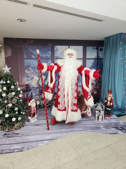 Дед мороз и снегурочка шоу программа