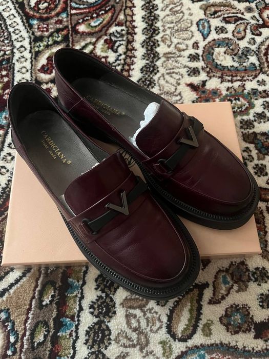 Cardicianа модел