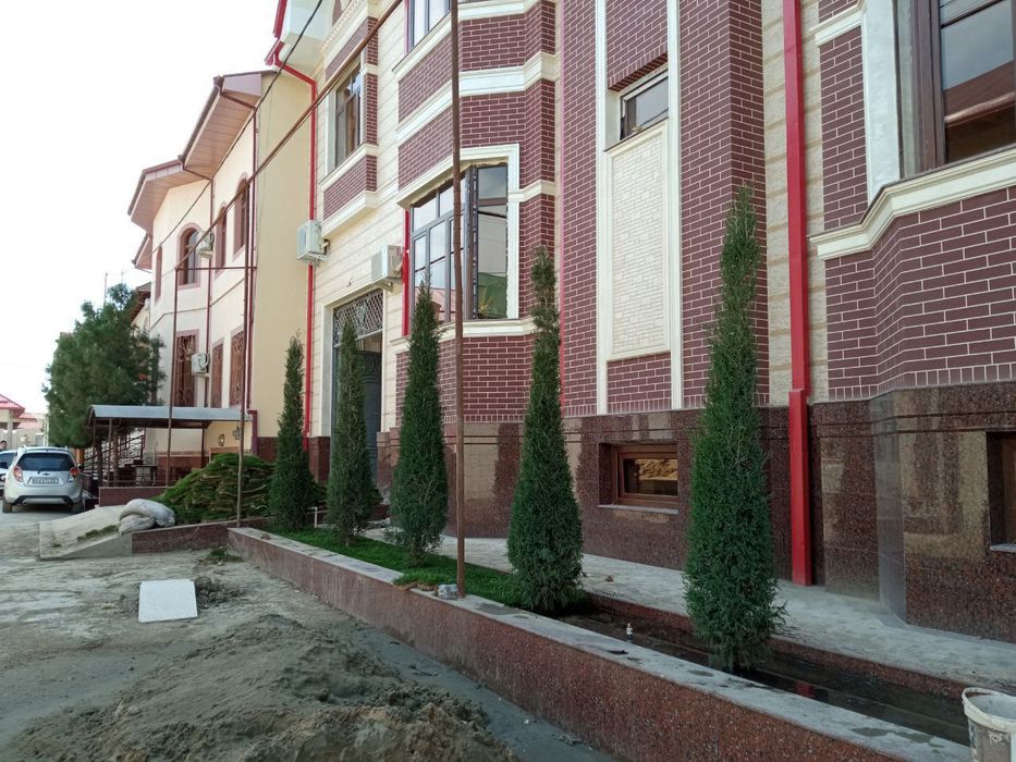 Арча газон гуллар экиш хизмати