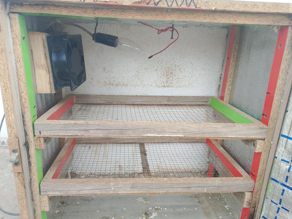 Inkubar 100 ta tuxum ketadigan