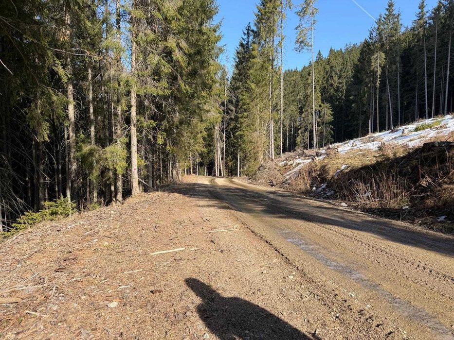 Teren extravilan de vânzare la Lacul Beliș – fără vecini
