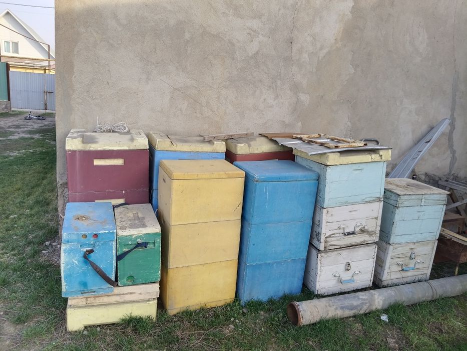 Продам улей для пчел