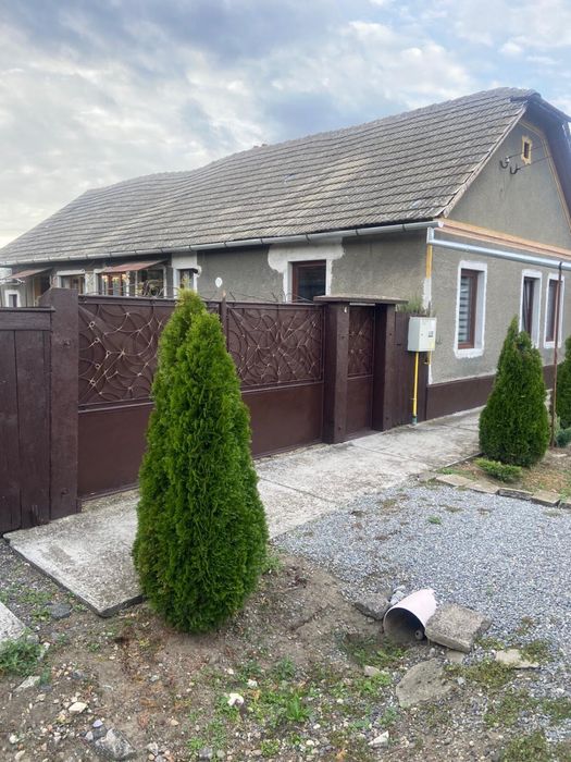 Vand casa in Chisineu Cris