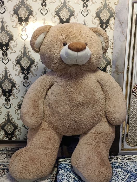 Teddy Ayiq SOTiLADi
