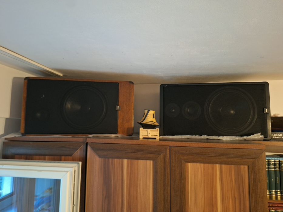 Boxe  CT 1000 bass 30 cm 110 watti grele la sunet 22 kg