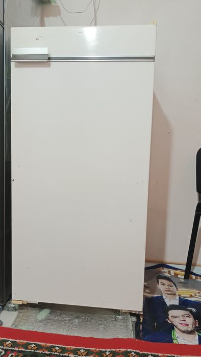 Rossiyiskiy Biryusa-3 1984 yil Xolodelnik yangidek, ishlashi zor