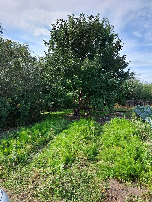 Продаётся дача, Федоровка