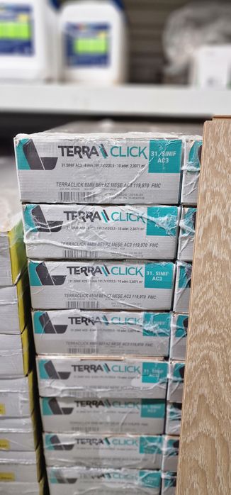 Parchet laminat 8mm TERRA CLICK