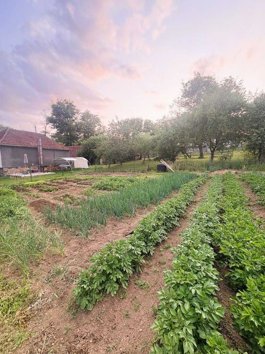 Proprietate deosebită în Răchitova – 5000 mp teren, două case renovate