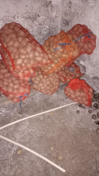 Vând cartofi bio  netratati naturali albi