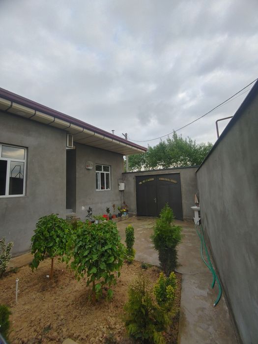Zangota tumani nazarbek mevazor maxallasidan uchastka sotiladi 

1.83