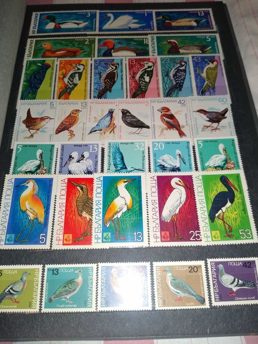 Албум пощенски марки и банкноти