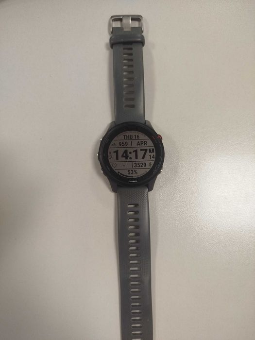 Часы беговые Garmin Forerunner 255