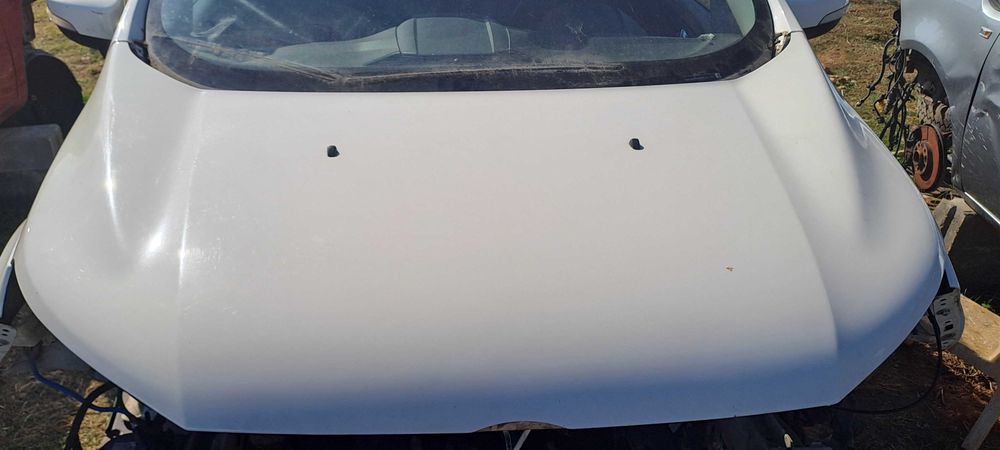 Калници и преден капак на двигател за FORD ECOSPORT 2016Г.