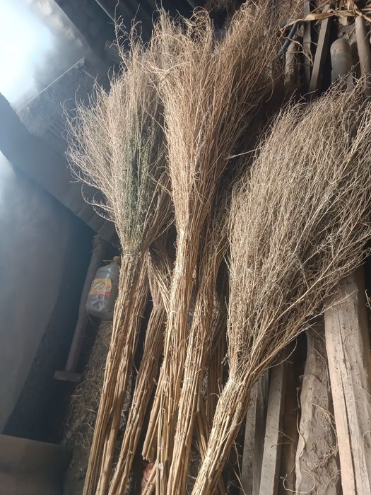 Hovli shipirgi sotiladi