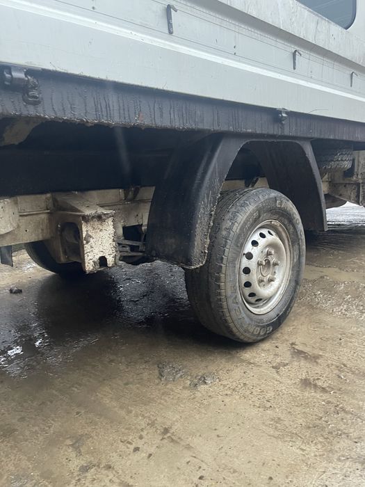 Lt 35 109 cai  impecabila