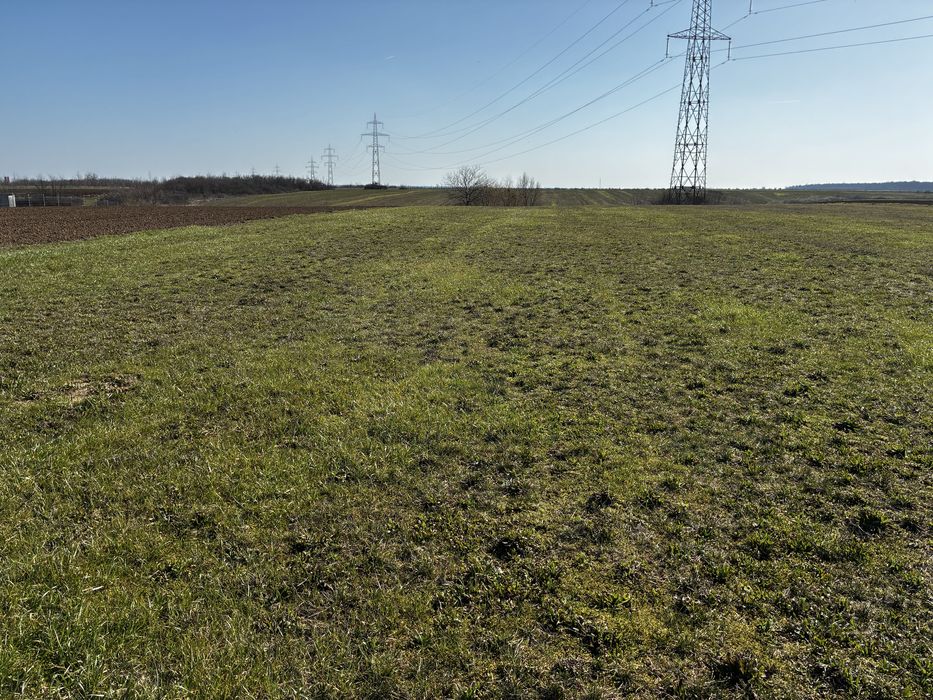 Teren intravilan 3.000 mp Niculesti Movila