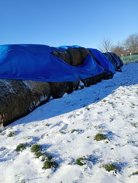 Baloți lucernă stare perfecta de consum