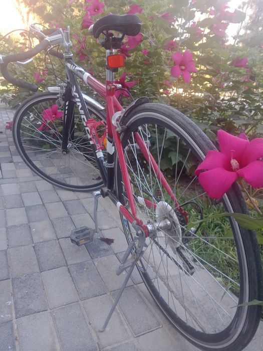 Velo sport judayam yaxshi xolatda bu narxga topish qiyin