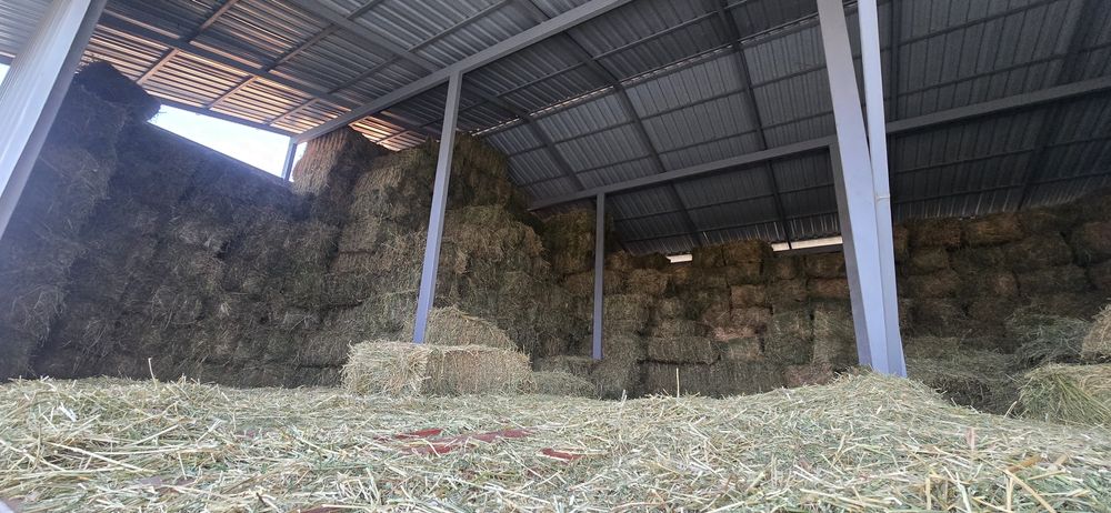 Beda press sotiladi.