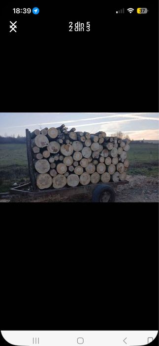 vand lemne esenta tare