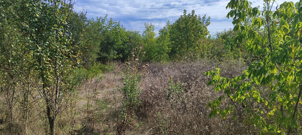 Продава се Парцел в с. Медово, Област Добрич - 2540 кв.м за 2 €/кв.м - Снимка #6