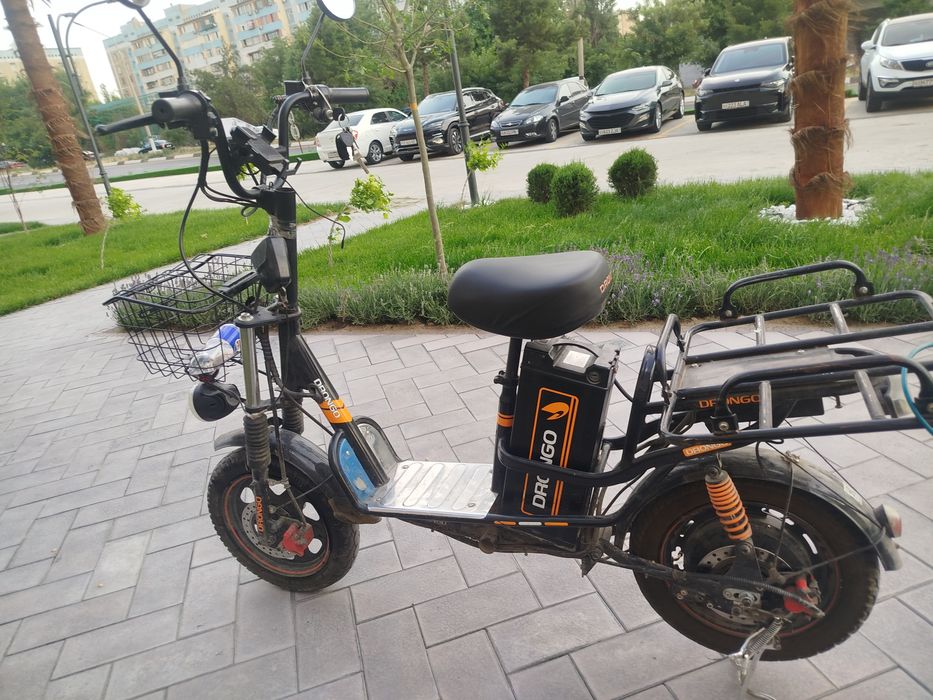 Monstr drongo sukuter