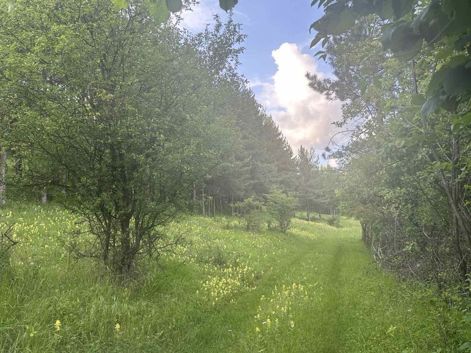 Продава се Парцел в с. Желява, Област София-град - 521 кв.м за 58 €/кв.м - Снимка #5