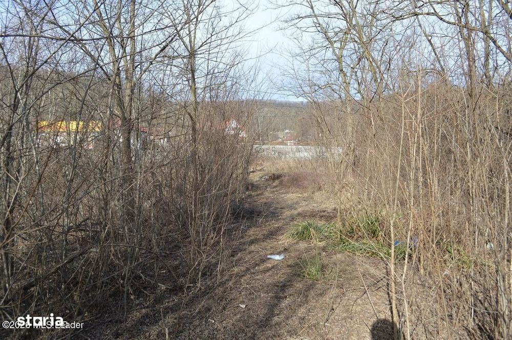 Valea Ursului - DN 7, Teren Stradal 2744 mp