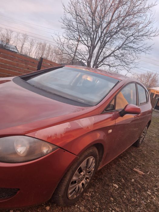 Vand Seat Leon (probleme injectoare)