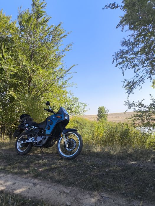 Kawasaki KL650B Tengai