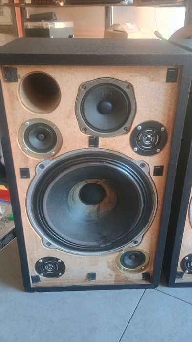 Boxe Lafayette Criterion VI