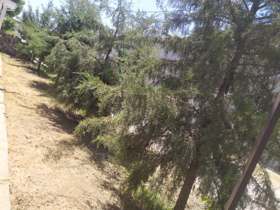 Eski 16 yilliyda ,3 so'tik uchastka sotiladi toshmi po'stidan ropparos