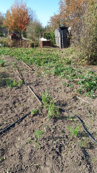 Продам дачу ООСЛ притобольский