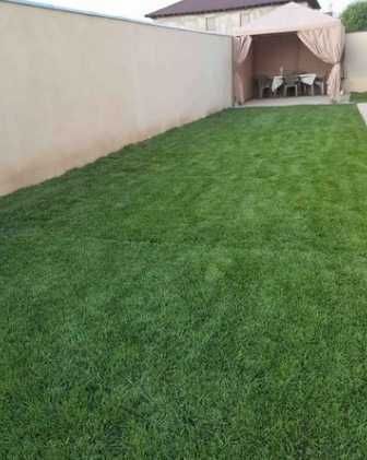 Gazon Rulou si sisteme de Irigare