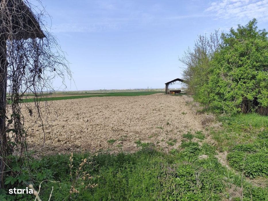 Casa la tara, gaz, acces auto, teren 4122 mp – Petid, Bihor