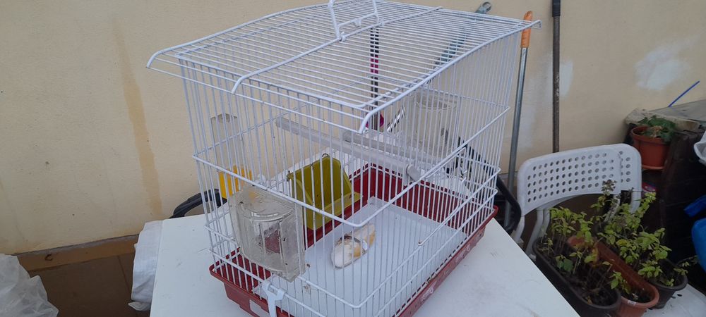 Vând  colivie de  păsări